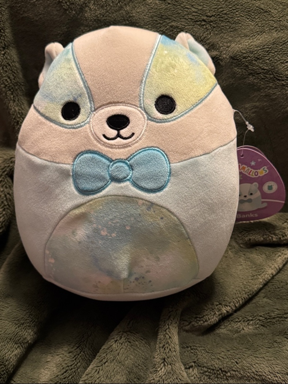 Squishmallows BANKS the Badger Plush Stuffed Animal 8" Squishdate 09.03.2025 NWT